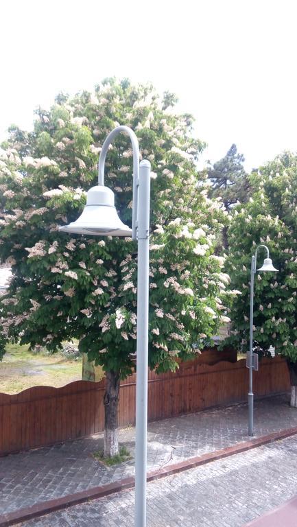 California Guest House Γκόρι Εξωτερικό φωτογραφία
